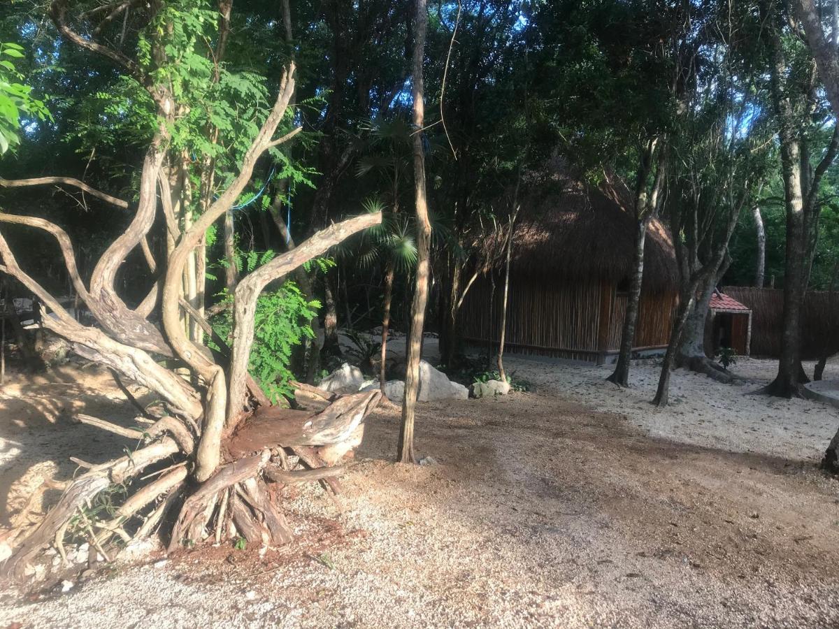 Hotel Tulum Nueve Exteriér fotografie