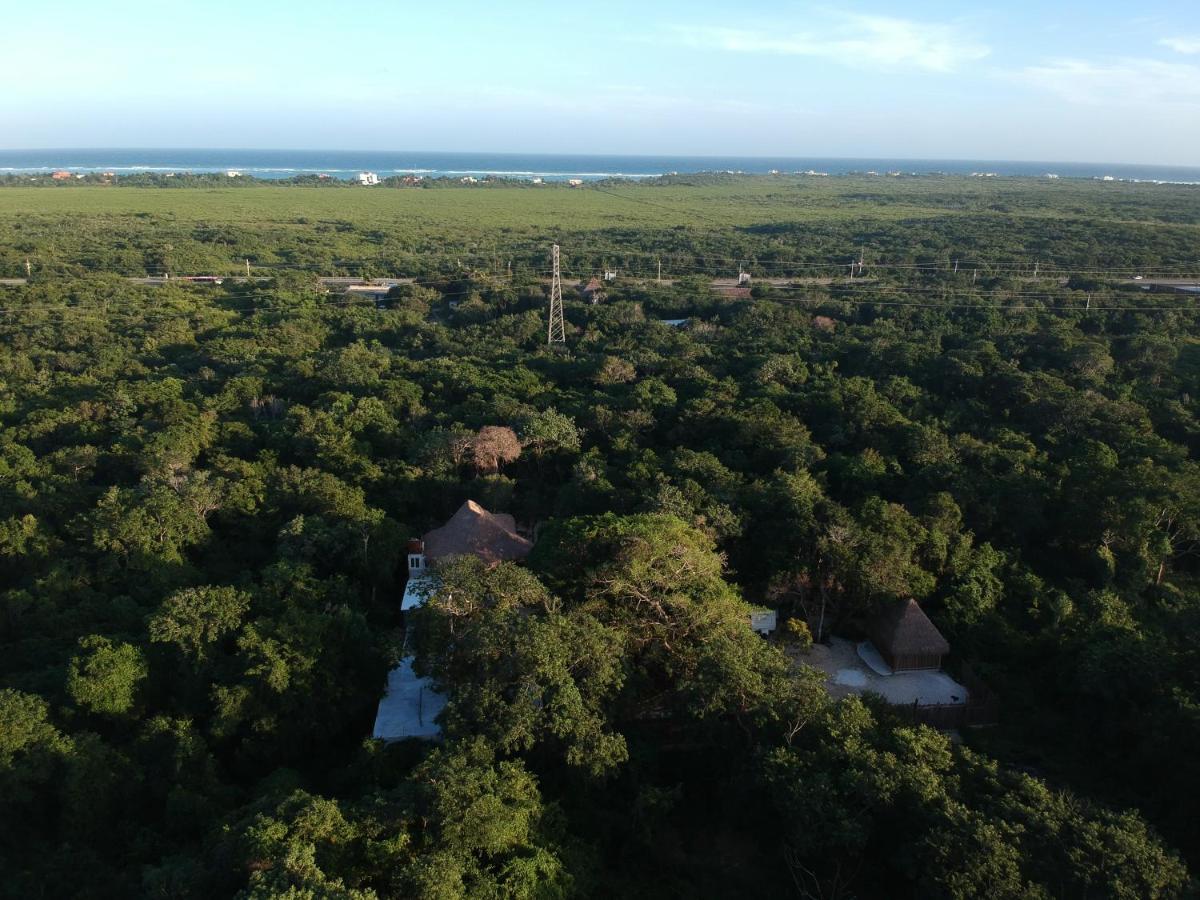 Hotel Tulum Nueve Exteriér fotografie